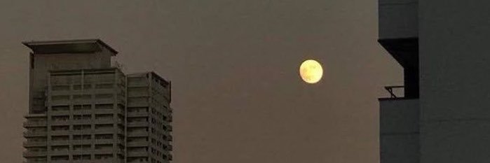 SoyCarlosm02's profile banner image