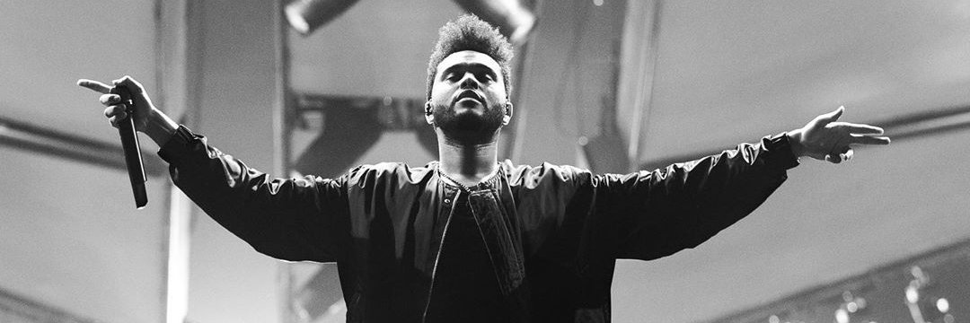 Jamie Dąbrowiecki banner