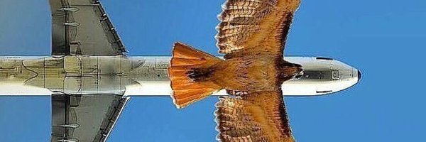 Amazing_AFC Profile Banner