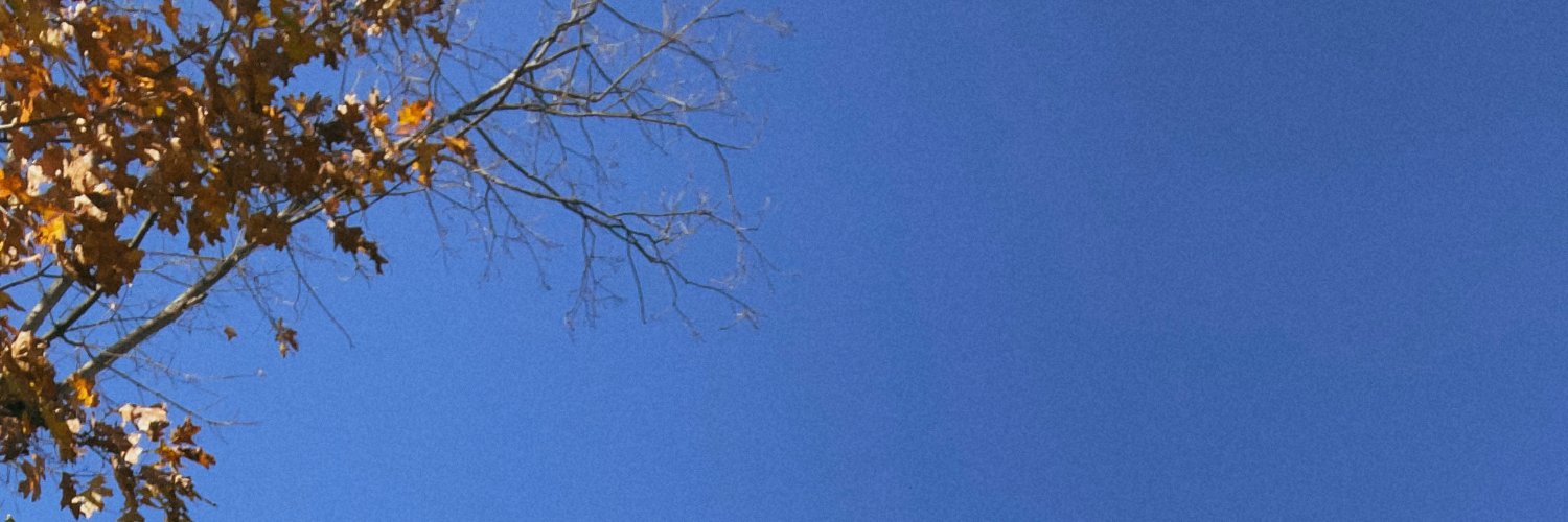 Sam Dylan Finch banner