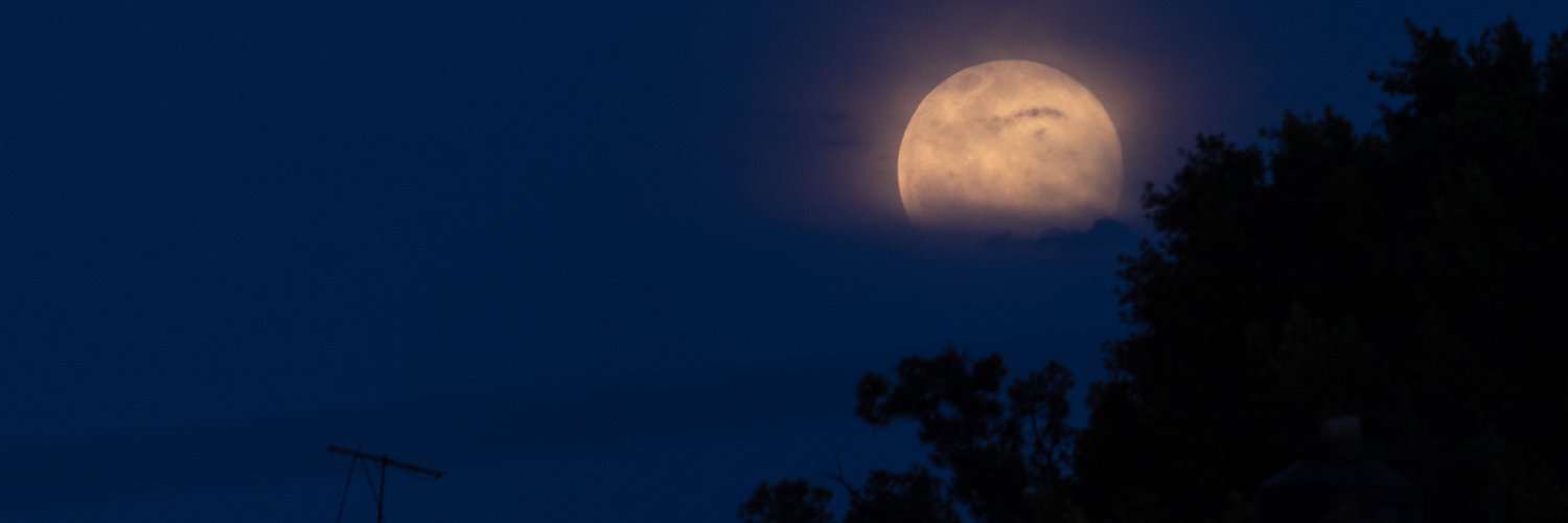 AleRolAri's profile banner image