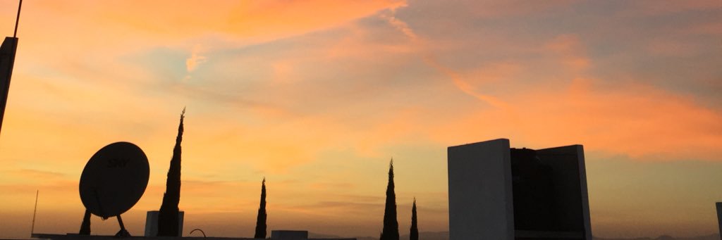 Tribi_qro's profile banner image
