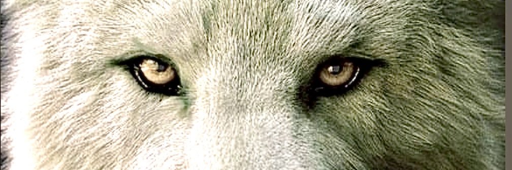 andrebarria69's profile banner image