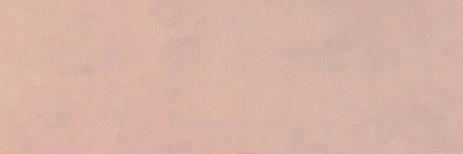 ptasie_'s profile banner image