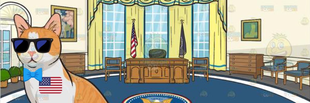 Capitan Gato 🅙 banner