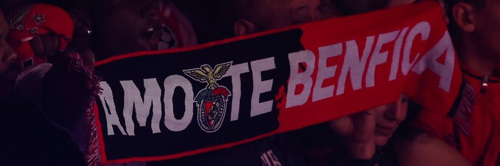 inescm_silva's profile banner image