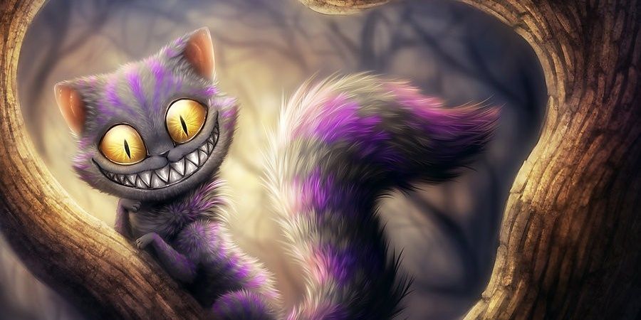 gataencerradagh's profile banner image