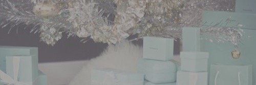 PrincessAriGPL's profile banner image