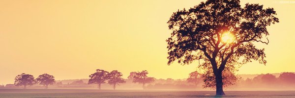echeneyAL Profile Banner
