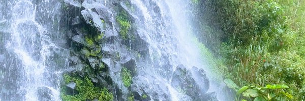 josesitamia14 Profile Banner