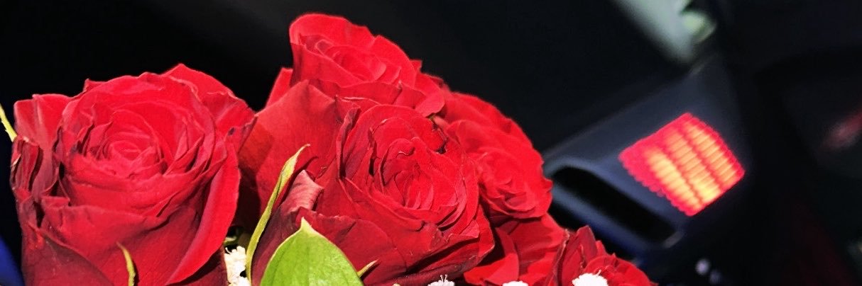laeeDoll's profile banner image