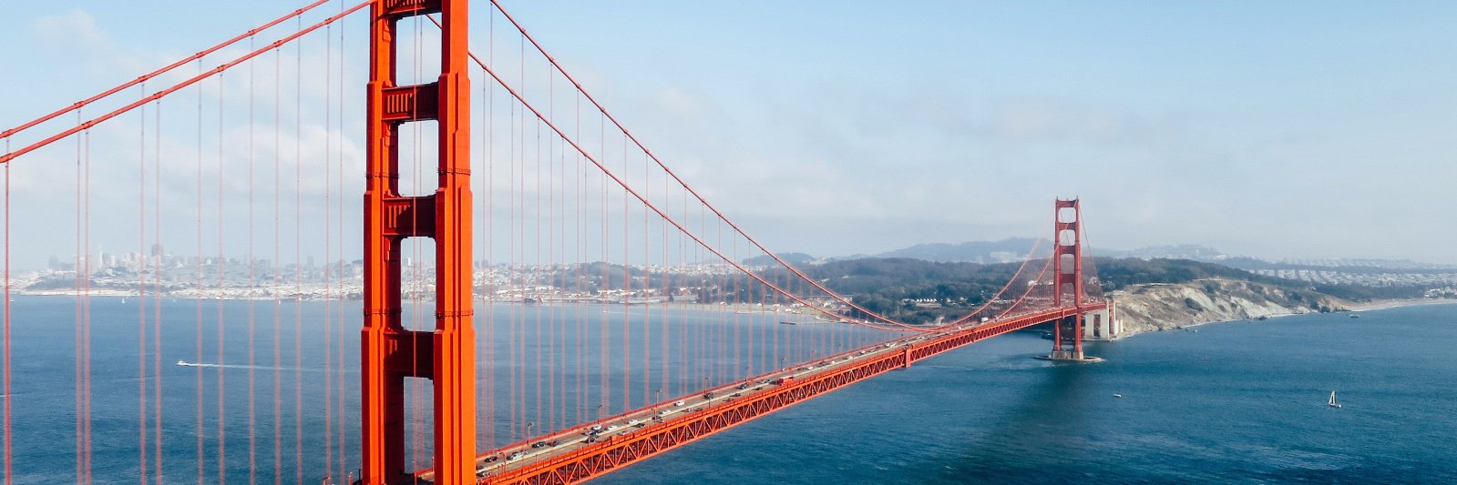 Nicolas Finet banner