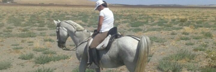 Lmercede's profile banner image