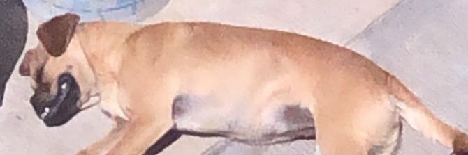 lantoniogarciah's profile banner image