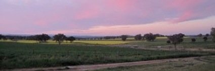 Gerard Middleton banner