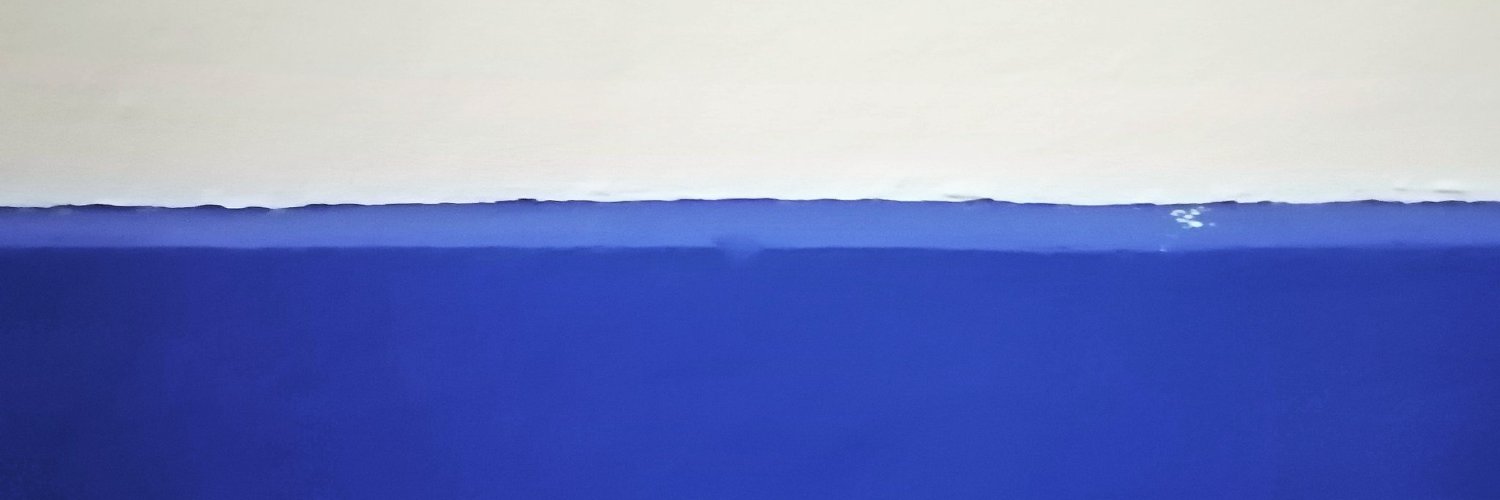 Alberto Haller banner