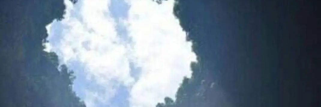 MimeDine's profile banner image