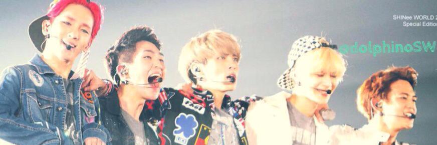 dolphinoSW's profile banner image