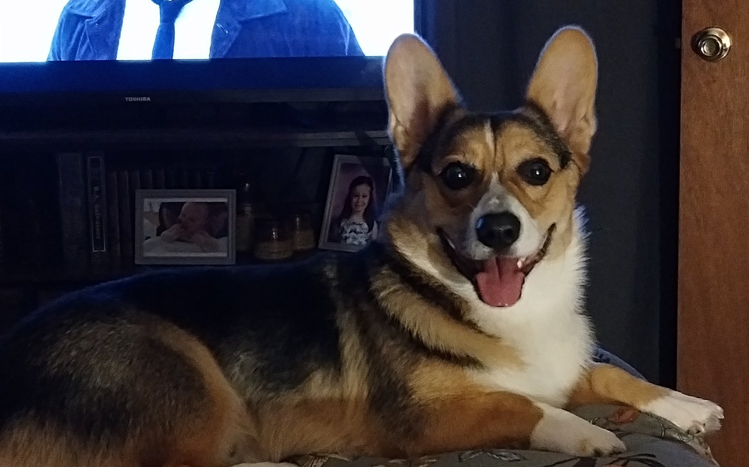 Beez A Brazen Hussy ☮️🌻🇺🇦 🇵🇸 🌈 🐝 🌴 🇬🇱 banner