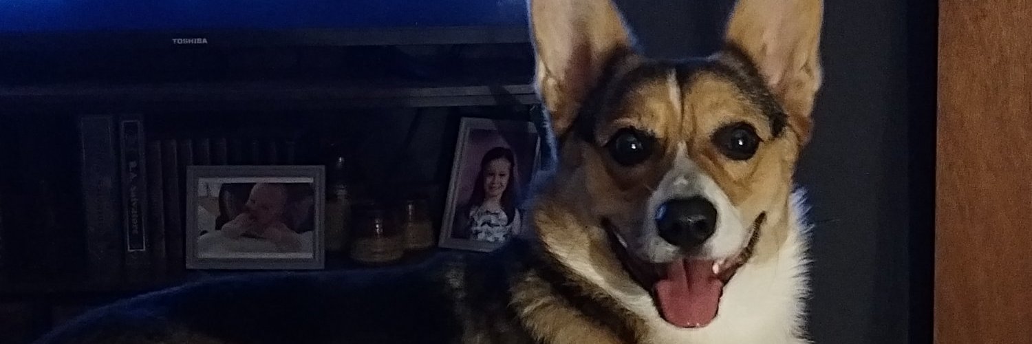 sbeezer's profile banner image
