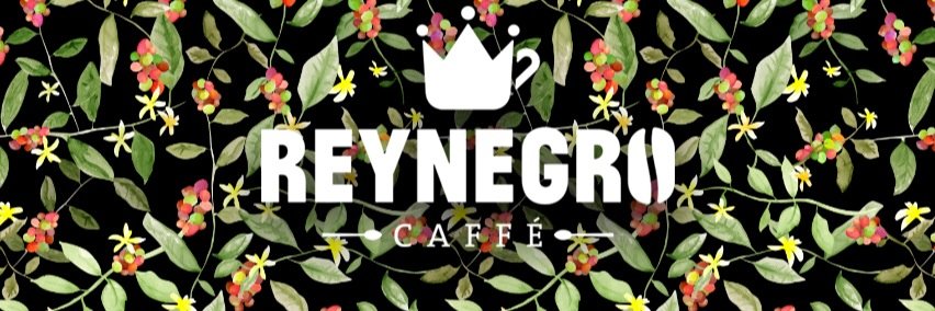 Reynegro banner