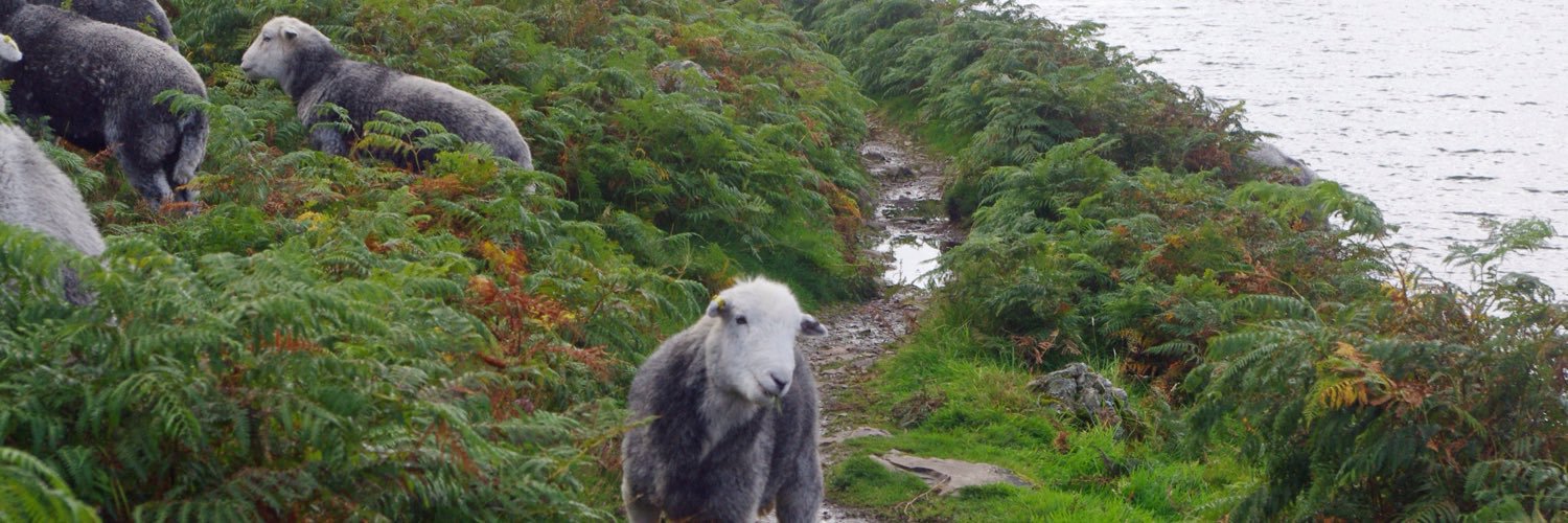 Rob Jeffery 🇪🇺 banner