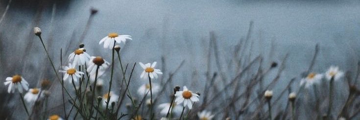 tuajiidd's profile banner image
