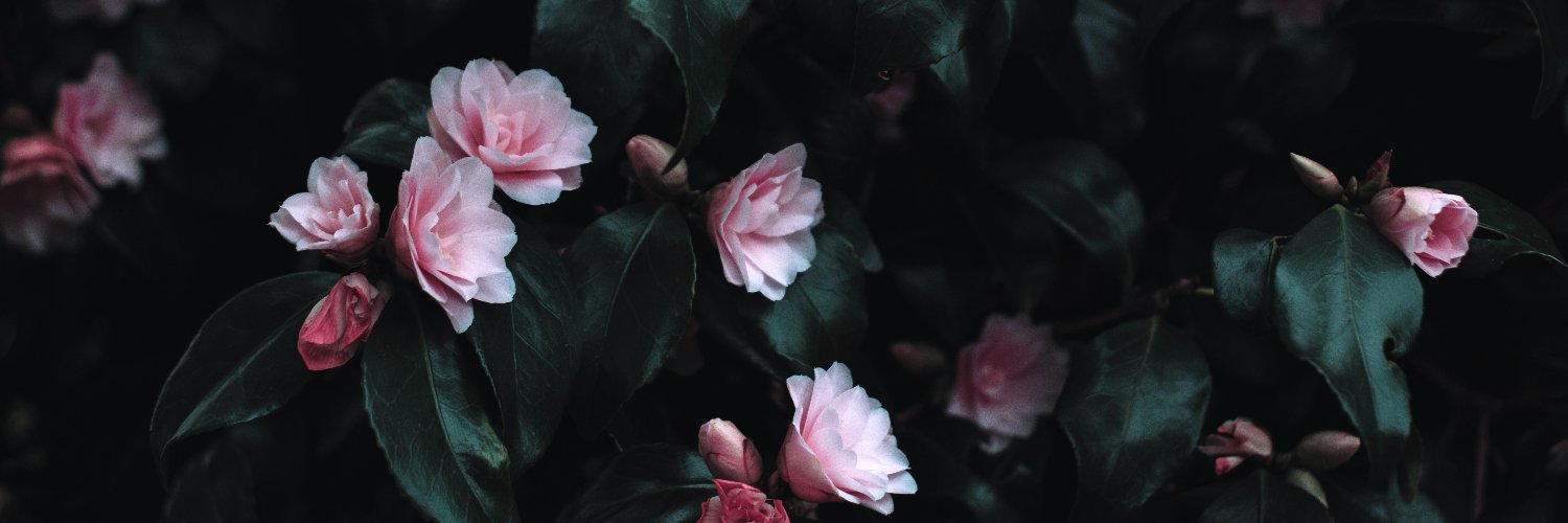 user030368's profile banner image