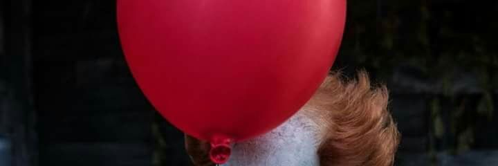 maprang13640's profile banner image