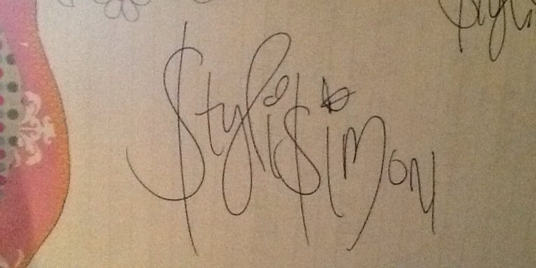 StylisiMon's profile banner image