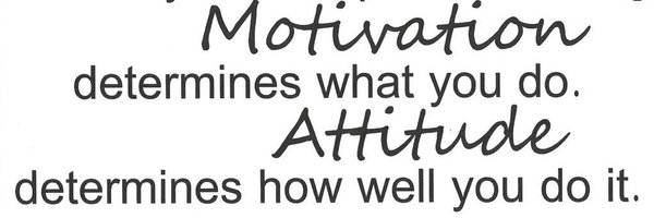 AmberBone17 Profile Banner