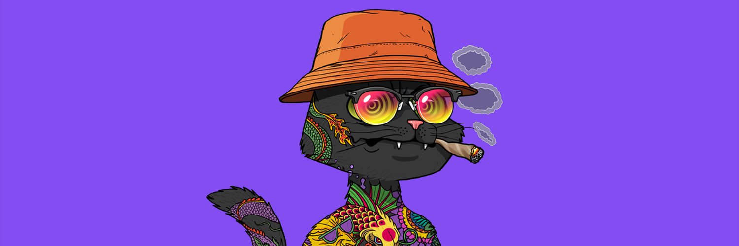 CryptoTestDummy's profile banner image