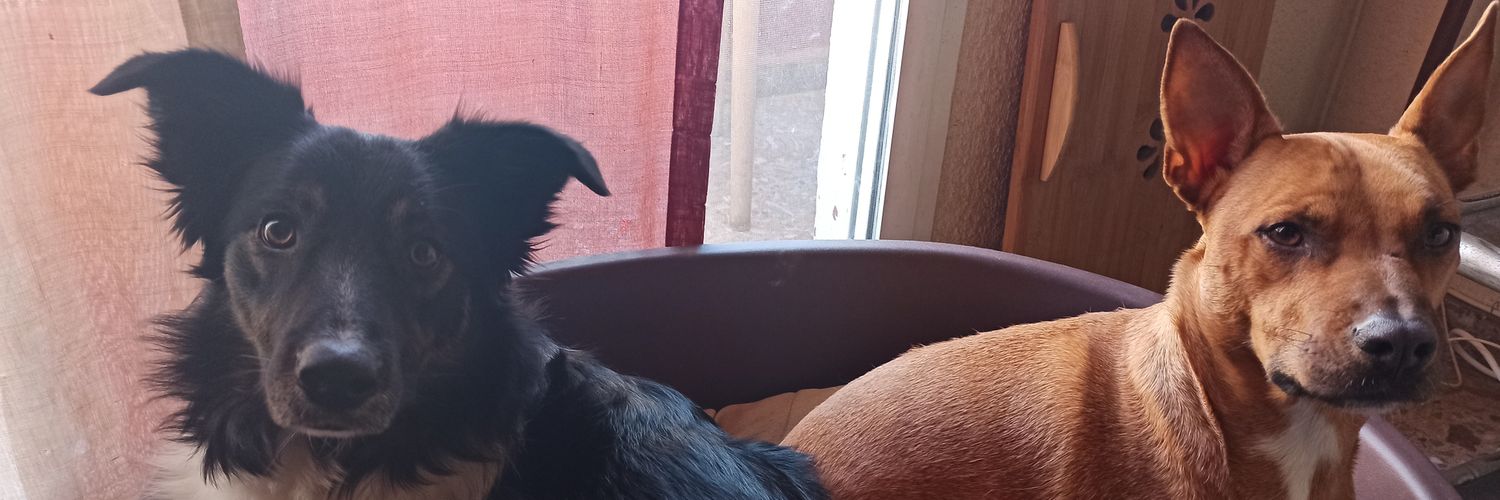 piwe88's profile banner image