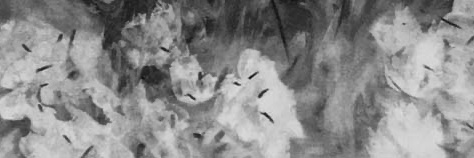 BardiGeorgia's profile banner image