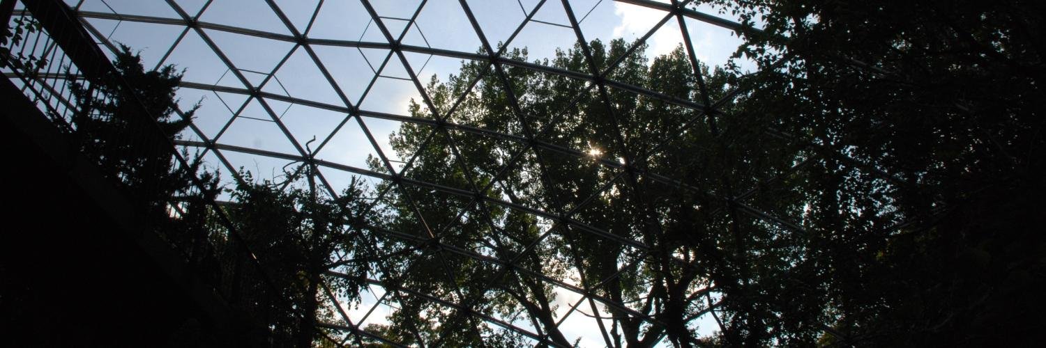 QueensFreePress's profile banner image