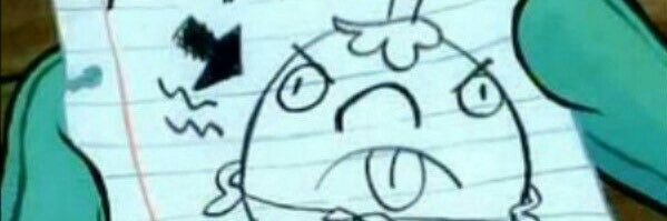 Shelly banner