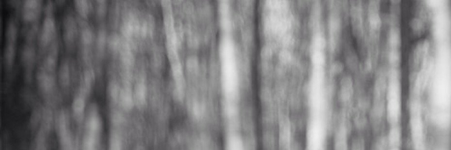 LiMiMLi's profile banner image