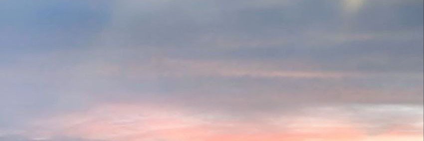diezzert's profile banner image