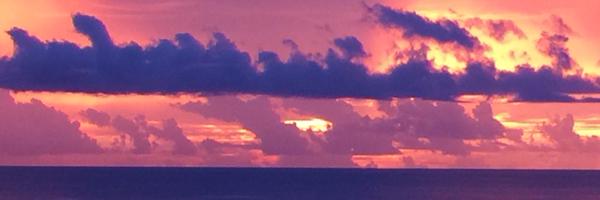 thd_denise Profile Banner