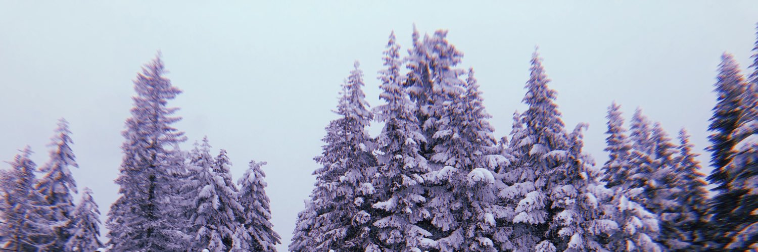 EvaCopley's profile banner image