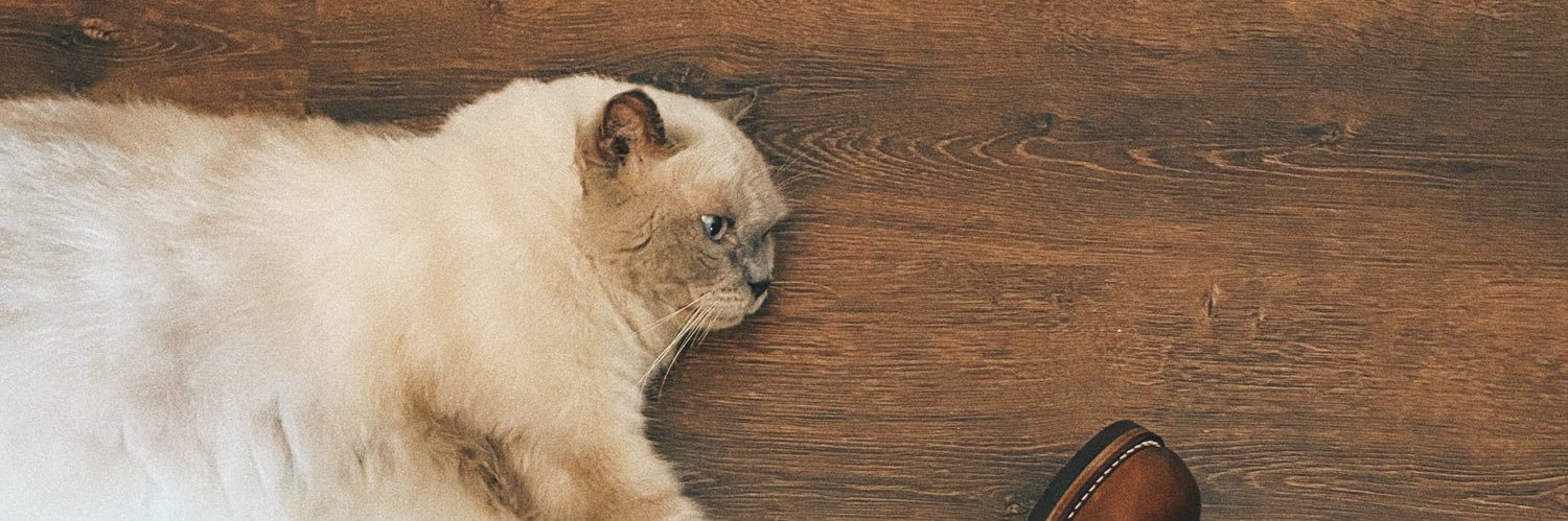 MarleyyyyMAL's profile banner image