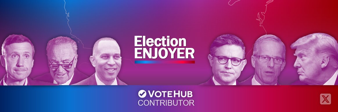 Election Enjoyer 🇺🇸 banner