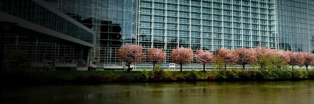 José Inácio Faria banner