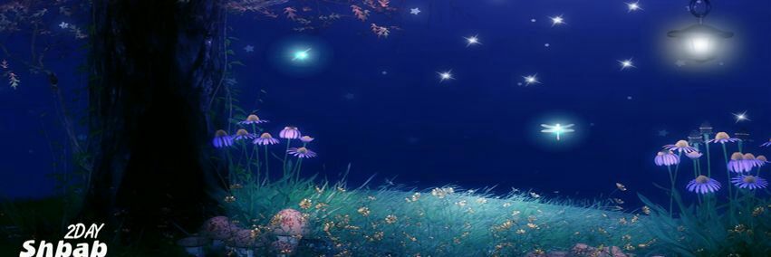 فدى المولى الجبورية banner