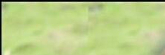 ChakorFc's profile banner image