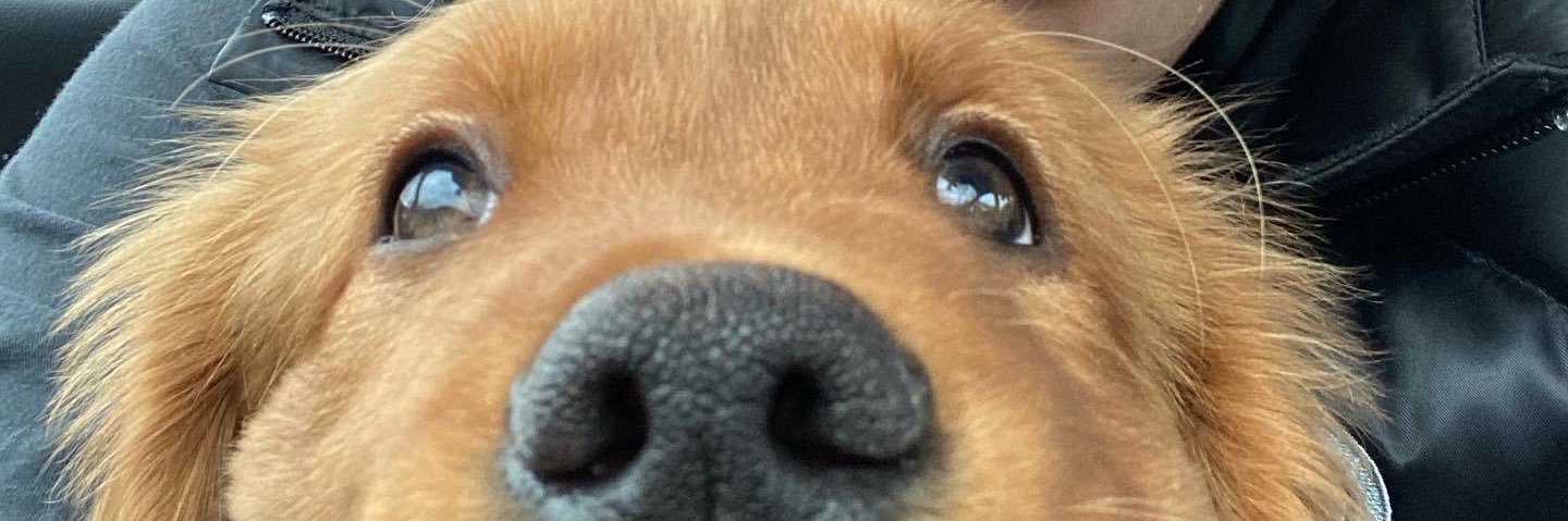 furrowmikee's profile banner image