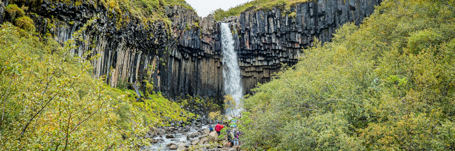 tony mcdavitt banner