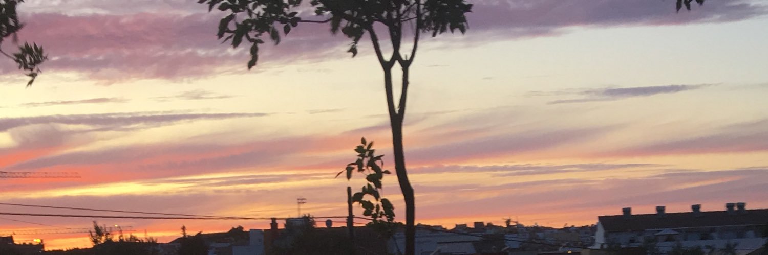 pauulaa_001's profile banner image