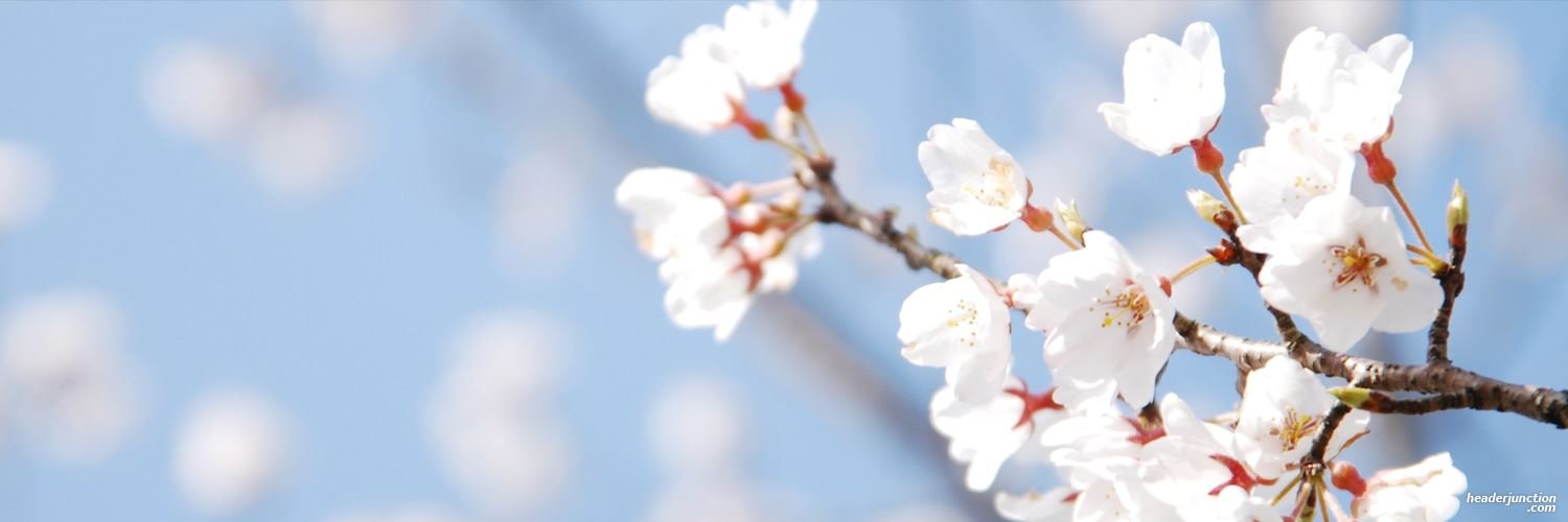 FonsVitae_es's profile banner image