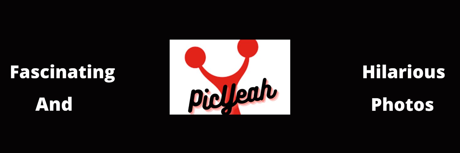 PicYeahPhotos's profile banner image